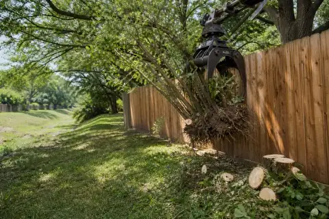 Grapple removing a multi-stem Chinese tallow clump beside a Fort Bend drainage easement