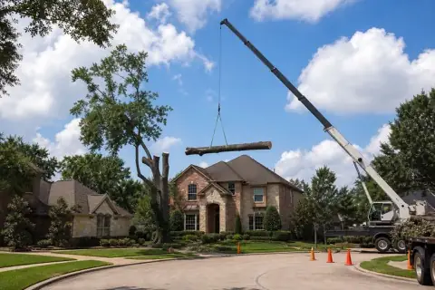Crane lifting an oak trunk section above a two-story Fort Bend home