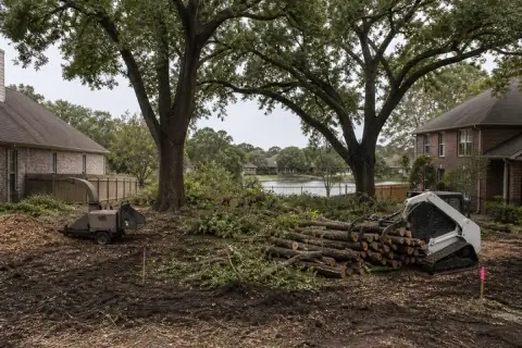 Compact grapple stacking Chinese tallow while flagged live oaks remain on a Sugar Land infill lot